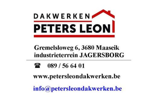 Dakwerken Leon Peters